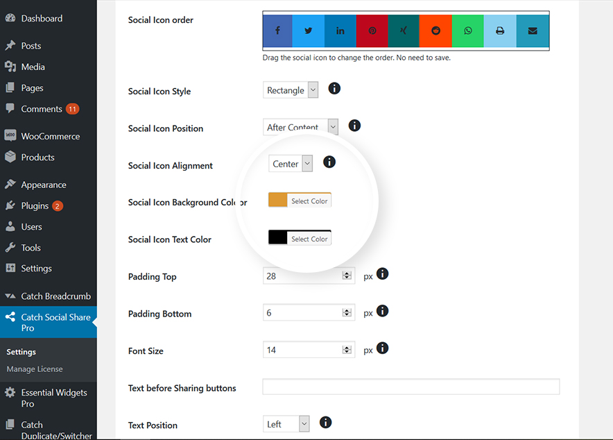 Social Icon Customization Options