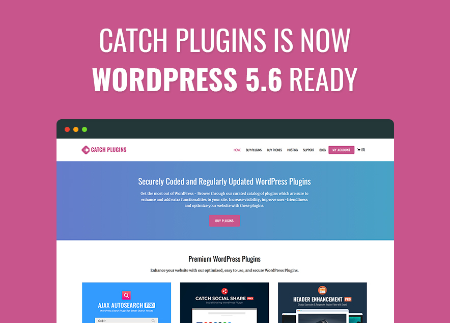 Catch Plugins is now WordPress 5.6 Ready