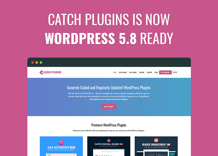 Catch Plugins is now WordPress 5.8 Ready